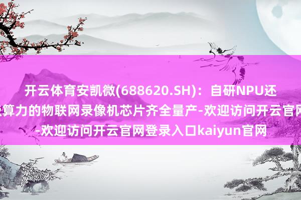 开云体育安凯微(688620.SH)：自研NPU还是通过第一代带轻量级算力的物联网录像机芯片齐全量产-欢迎访问开云官网登录入口kaiyun官网